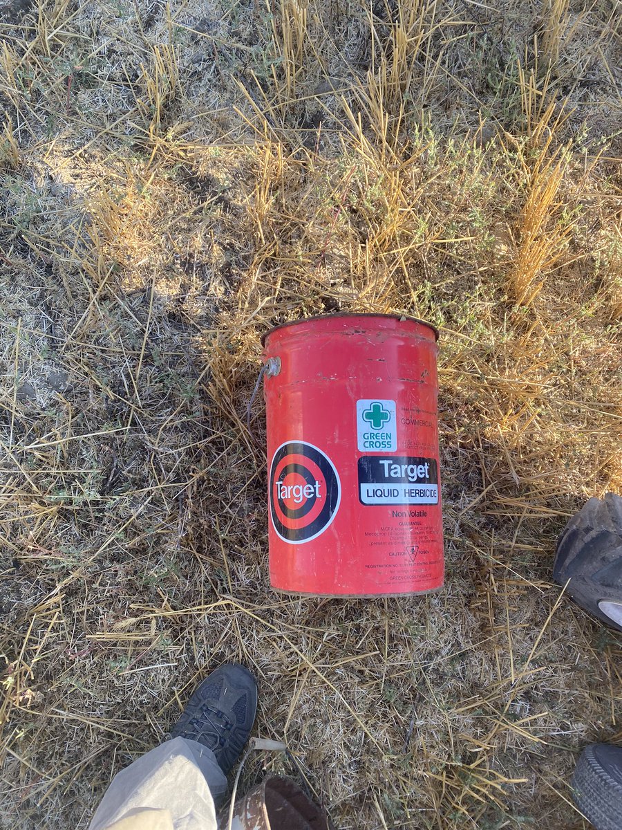 Josh Umscheid tweet media