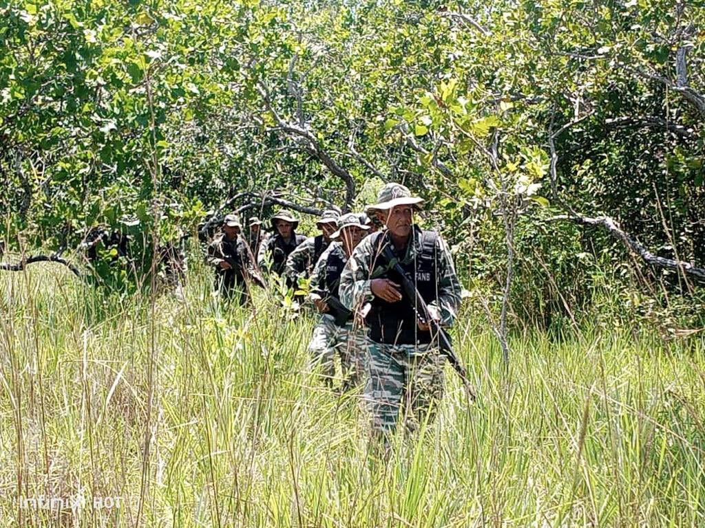 GJ. Domingo Hernández Lárez tweet media