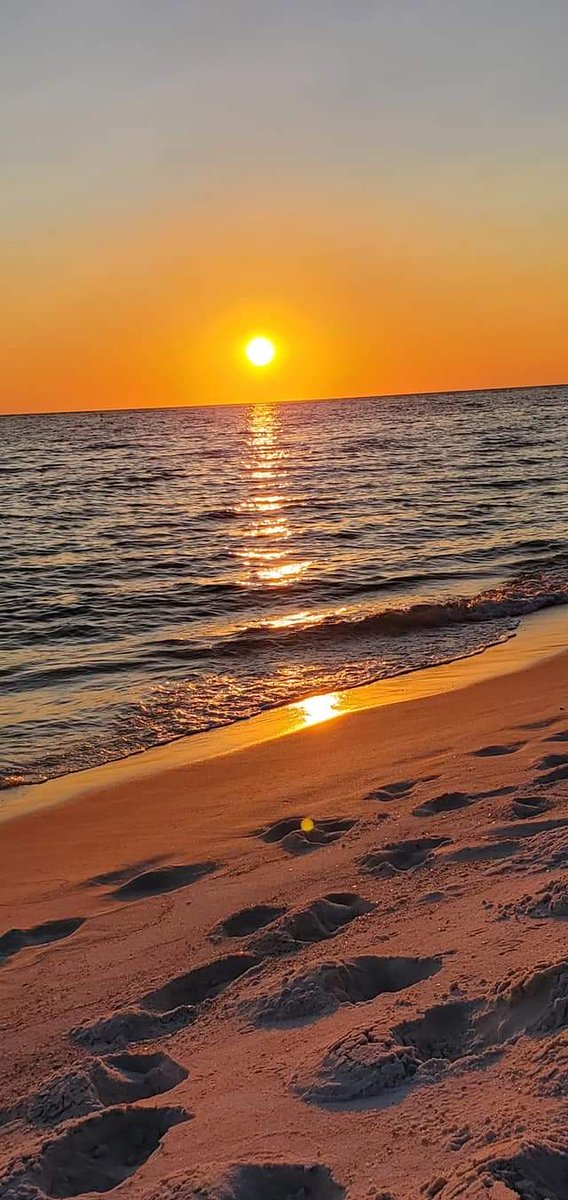 Sherry11742's tweet photo. Been an amazing week! 🌴 https://t.co/PvBO6ghy4R