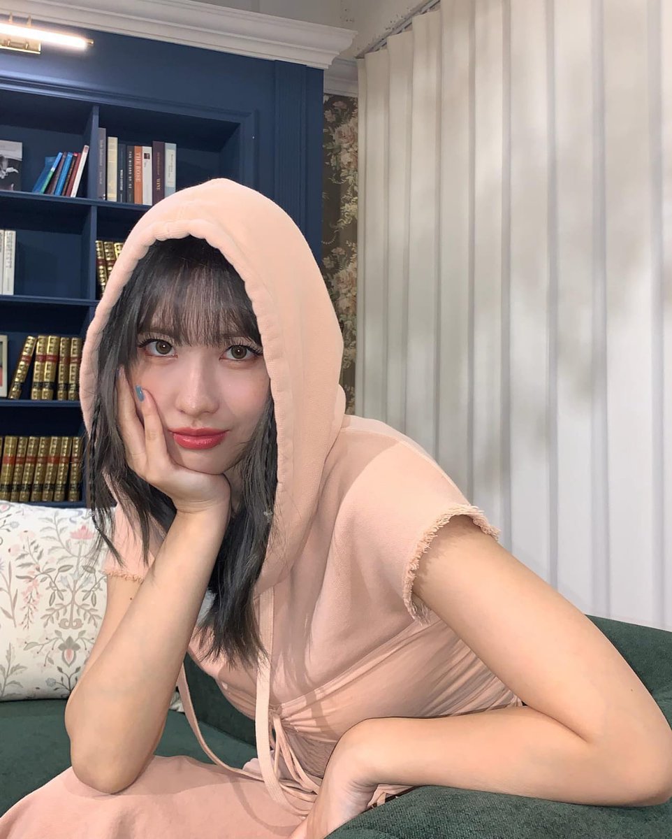 ccflorigraphy's tweet image. - Historia, tipos, significados y simbolismo de las Dalias  ۪ ֺ ˖  -🌾