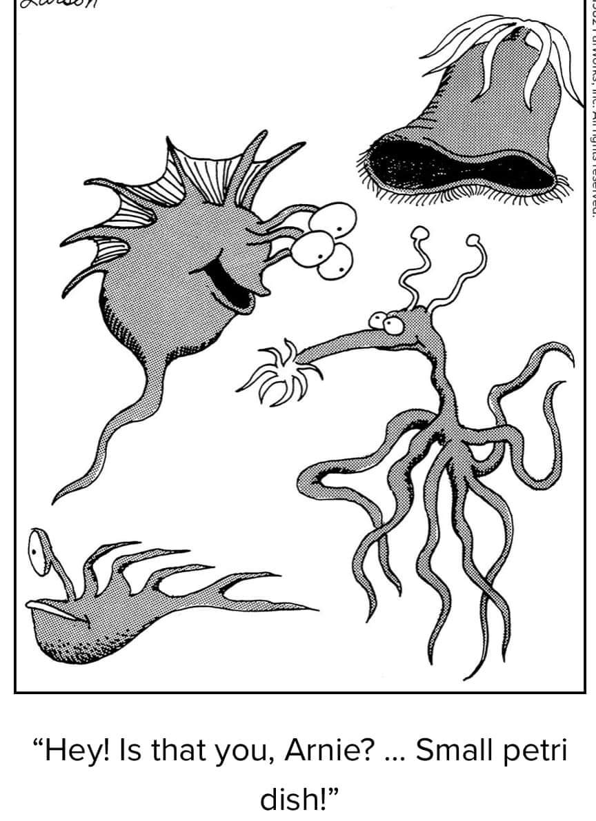 Jon Kimble tweet media