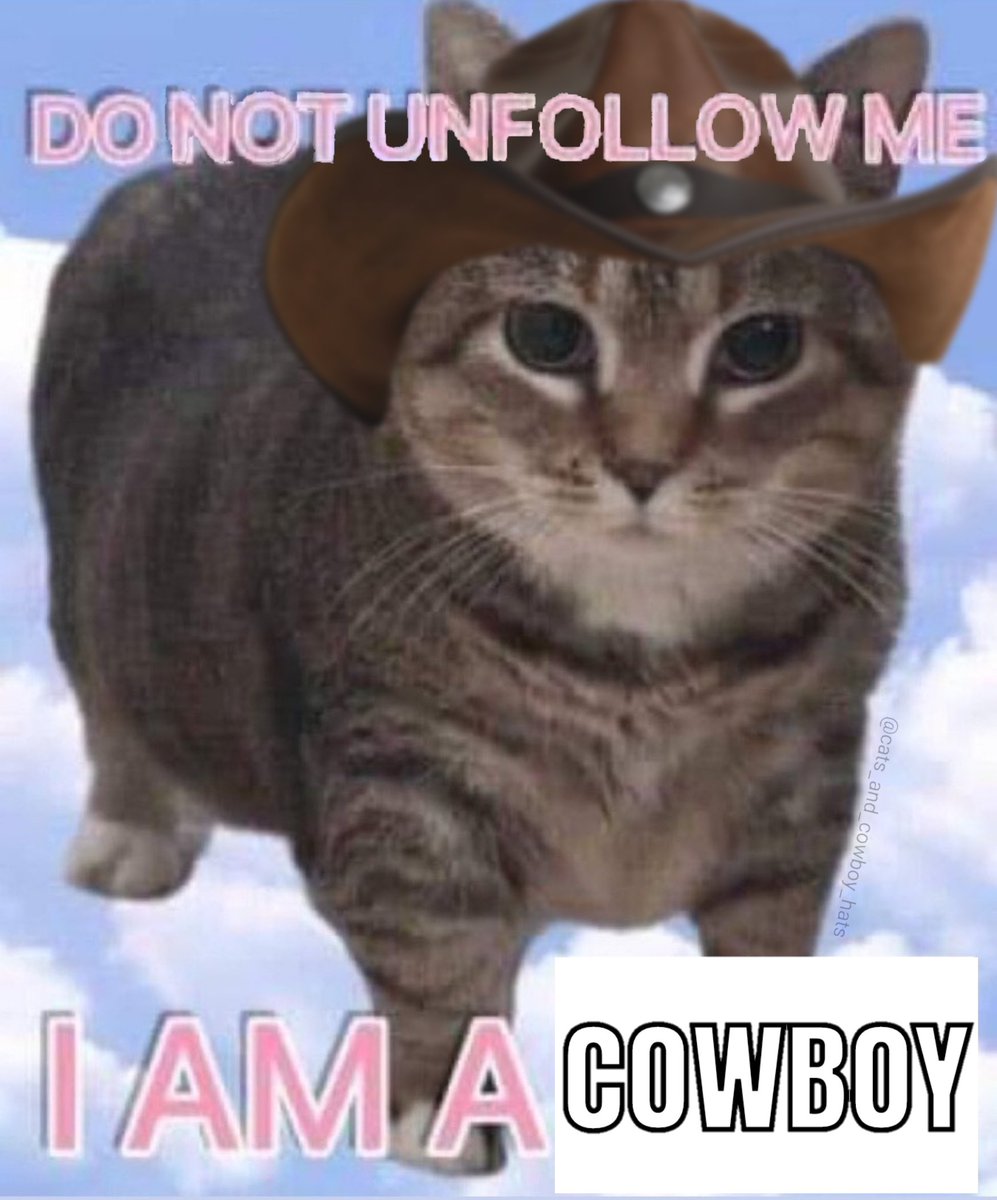 CowboyCats's tweet photo. https://t.co/X5G8qa4Oy0