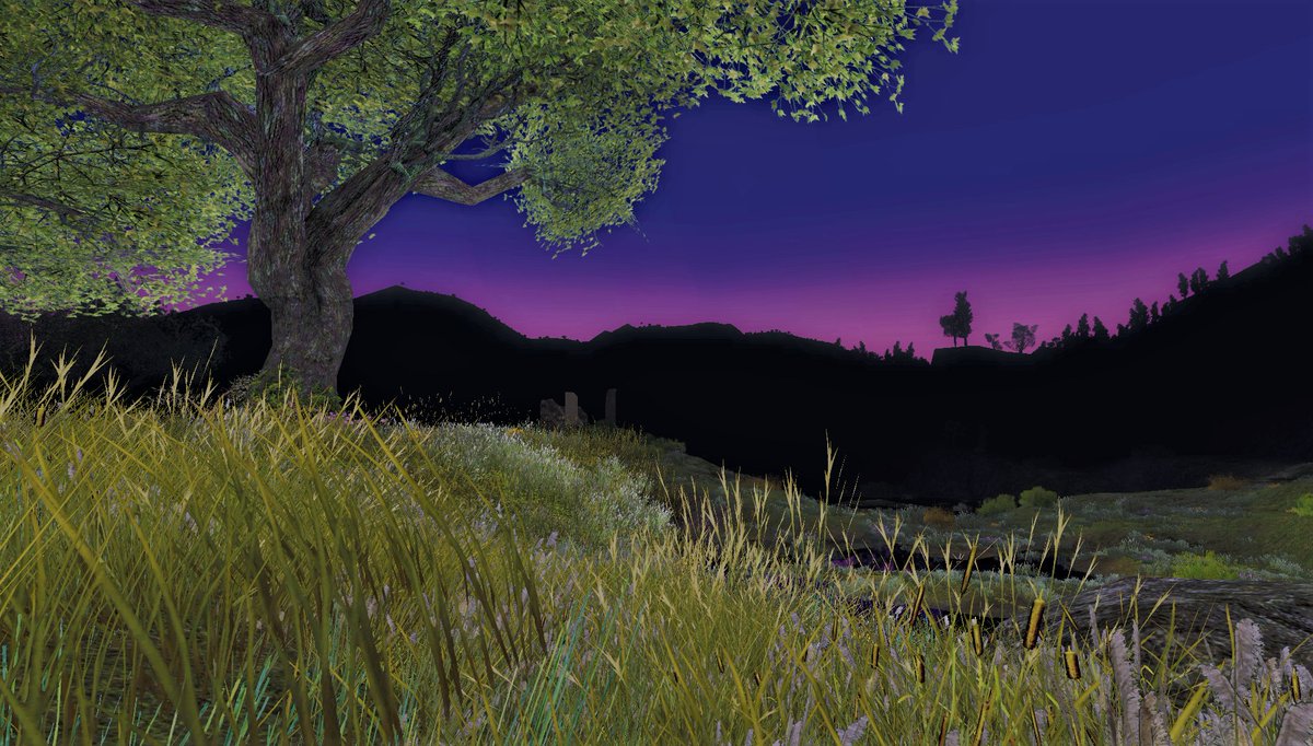 purplesoapstone's tweet photo. How is this game so old, yet so beautiful?
@lotro #lotro  #LOTR  #VirtualPhotography #LordOfTheRings https://t.co/C5dnLRWJeP