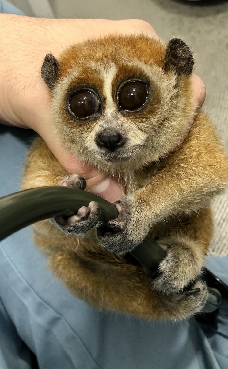 たろう (@exotic_VNCA0523) / Posts / X