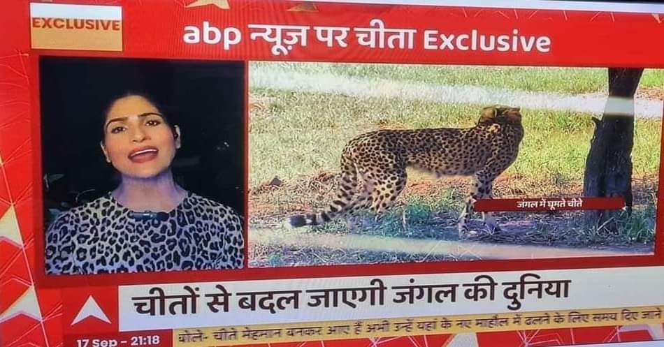 Finally एंकर आ गई चीते की ड्रेस में,🤪
