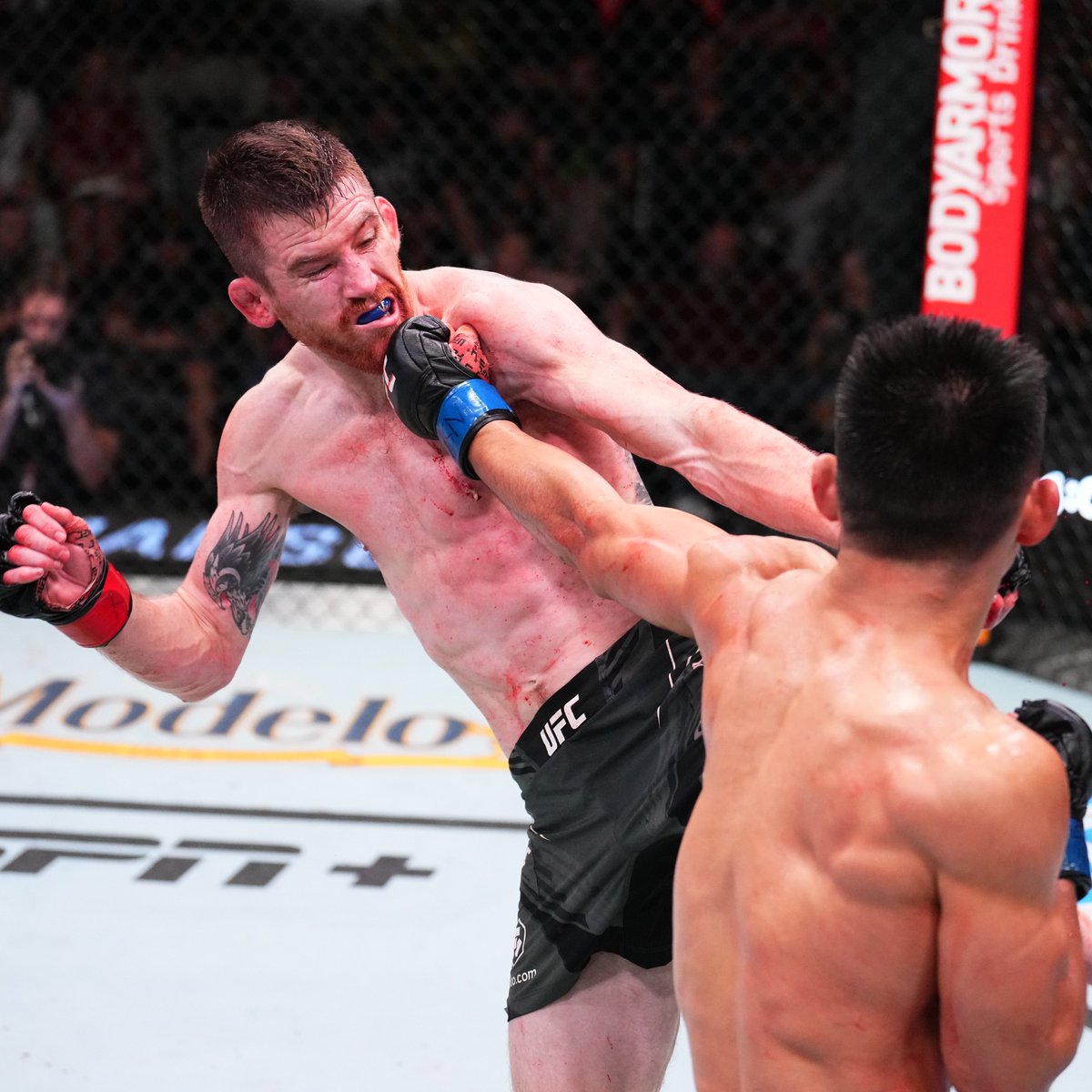 ufc's tweet photo. This main event is bringing the action 💥 #UFCVegas60 https://t.co/KYsslR8e3h