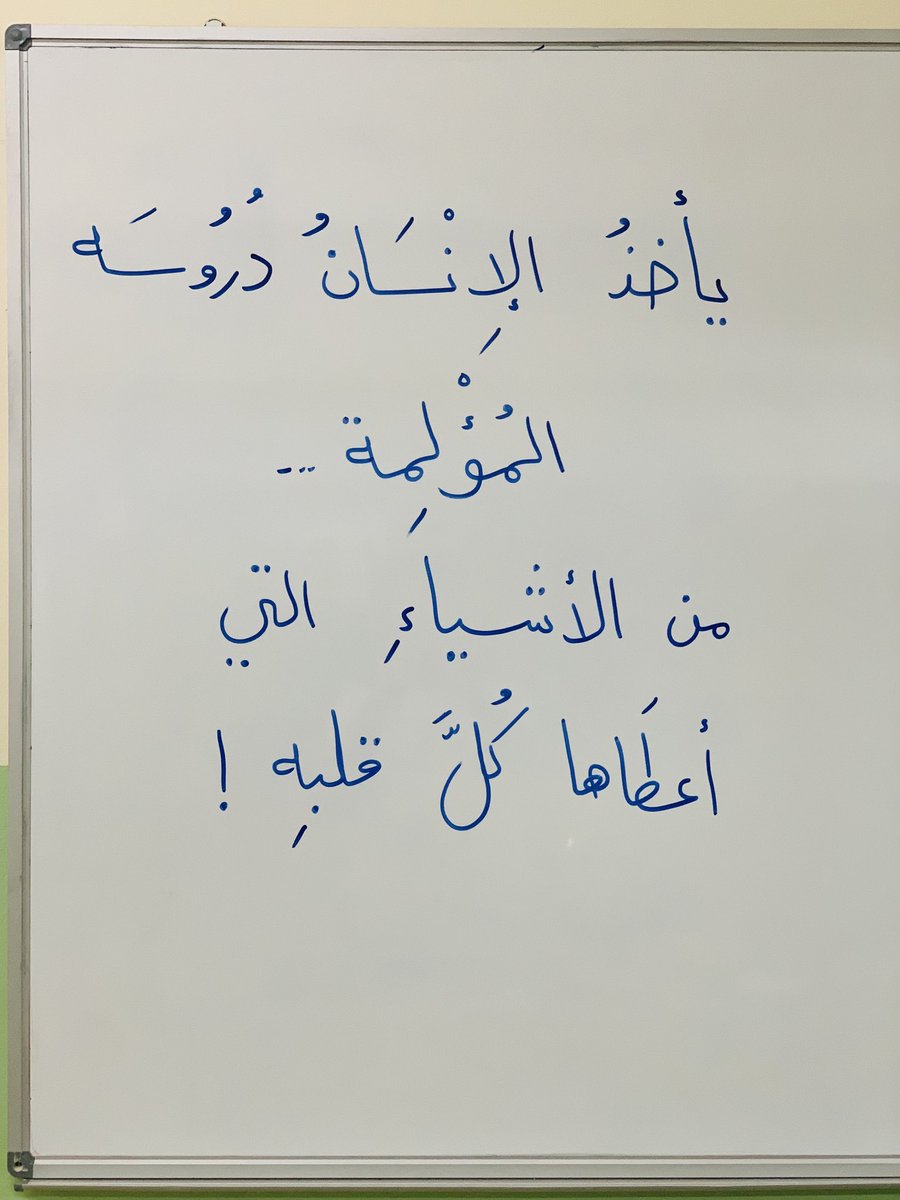 مقولة اليوم