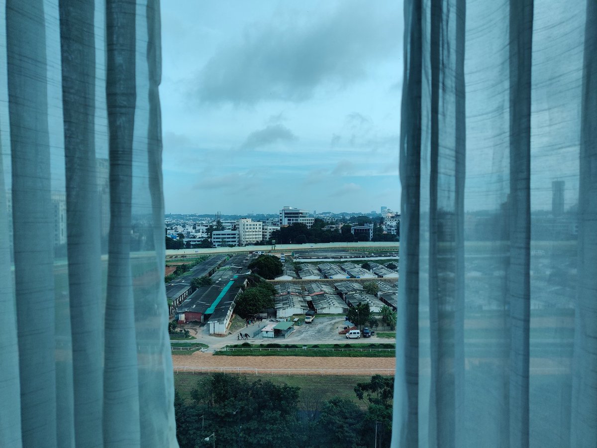 Nivi Gideon tweet media