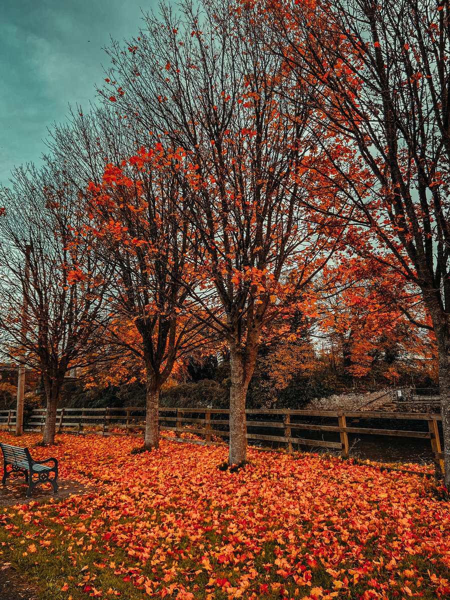 Almost that time of year 🍂

Askeaton,  #Limerick