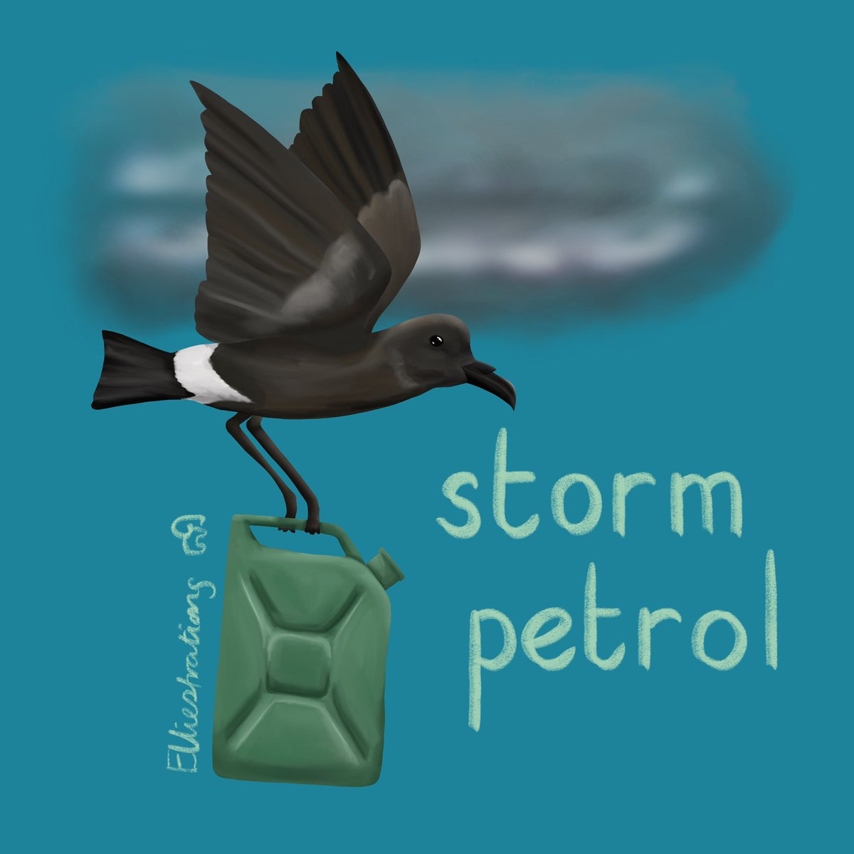 @SteelySeabirder Happy Super Seabird Sunday! Today I have a storm petrol… 
#stormpetrel #seabirds #SuperSeabirdSunday #birds #illustration