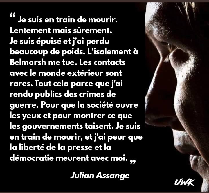 Etienne_Chouard's tweet image. « Presque toutes les guerres de ces 50 dernières années ont été le résultat de mensonges médiatisés. Pour accepter les guerres, les populations doivent être manipulées. Si nous avions un bon environnement médiatique, nous aurions un environnement pacifique »

Free Julian #Assange