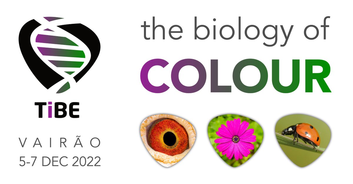 TiBE 2024 (@tibe_biopolis) on Twitter photo We are excited to announce that <a href="/CIBIO_InBIO/">BIOPOLIS-CIBIO</a>
will host the 2022 Trends in Biodiversity and Evolution meeting: The Biology of Colour (#TiBE2022). We invite all colleagues working on this topic to join us in December 5-7 in Portugal. Follow the thread 🧵for more details: We are excited to announce that <a href="/CIBIO_InBIO/">BIOPOLIS-CIBIO</a>
will host the 2022 Trends in Biodiversity and Evolution meeting: The Biology of Colour (#TiBE2022). We invite all colleagues working on this topic to join us in December 5-7 in Portugal. Follow the thread 🧵for more details: