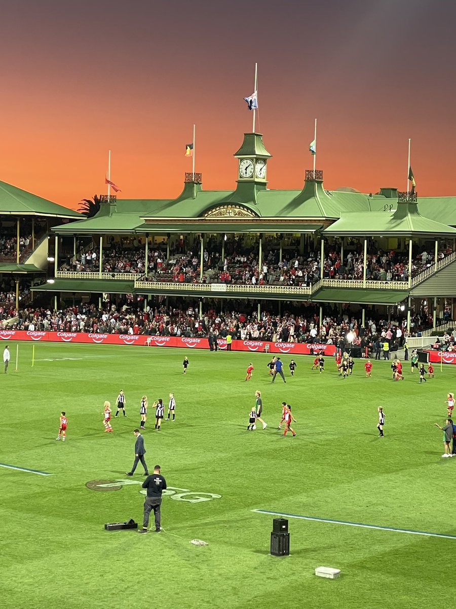 philcox18's tweet photo. Didn’t quite get the full fairy tale but super proud of what the Magpies achieved this year. Love the vintage stands at the SCG, halftime Auskick tradition, and the AFL experience- can’t wait to see what next season brings! ⚫️⚪️⚫️⚪️⚫️⚪️ https://t.co/bahDAS1Qpo