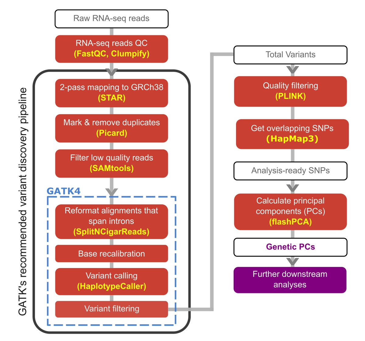 F_Azr's tweet photo. We constructed the #RGStraP pipeline, which can capture population structure (genotype calls or 🧬 principal components) directly from RNAseq (https://t.co/v3BAZmolnU)
We tested RGStraP on a dataset of whole-blood samples from Nepal, a diverse-yet-understudied population. (5/9) https://t.co/PeqpacaUH3