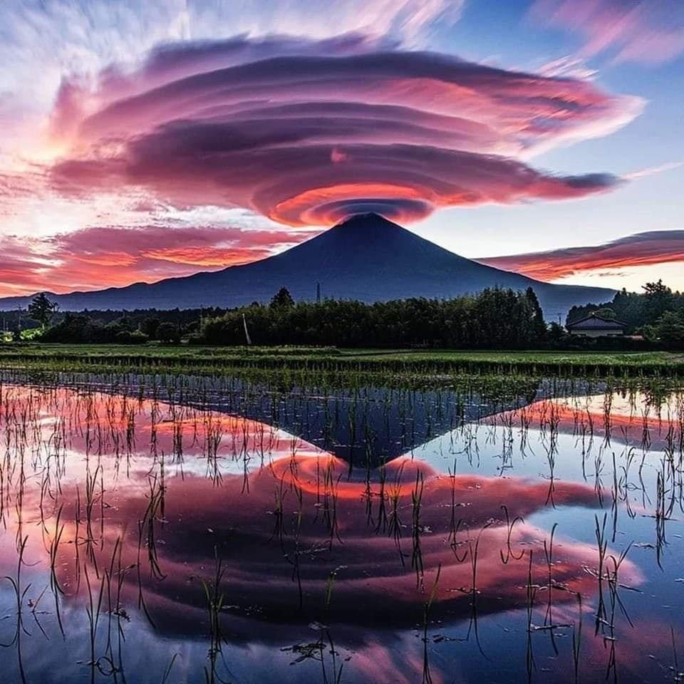 vlanon's tweet photo. Le mont Fuji se reflète dans le lac Tanuki, au Japon. https://t.co/uibfaWax6v