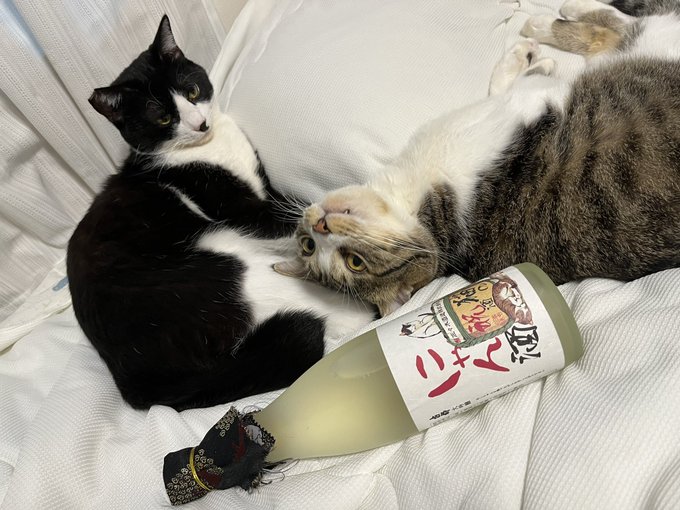 佐々木酒造のtwitterイラスト検索結果