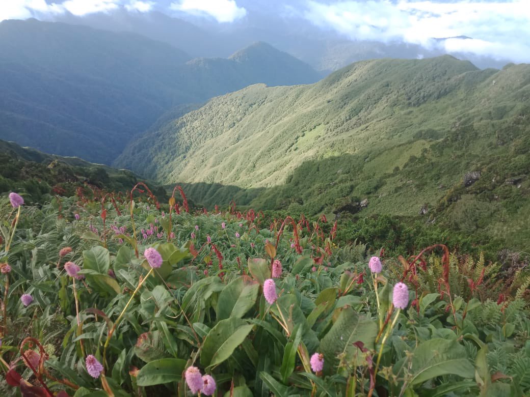 SunnySinghIAS's tweet photo. “Wait is over”                               “5 PASSES TREK” of Vijaynagar, set to open for tourists.

- Mugafi (3903 m)
-Gphuka (3111 m)
-Chaukan (2419 m)
-Hukawng (2110 m)
-Siddi. (1320 m)

Glimpse of Mugafi
@PemaKhanduBJP @KamlungMosang @SonamChombay @BrigMishra @ArunachalDIPR https://t.co/HYPigaGwW6