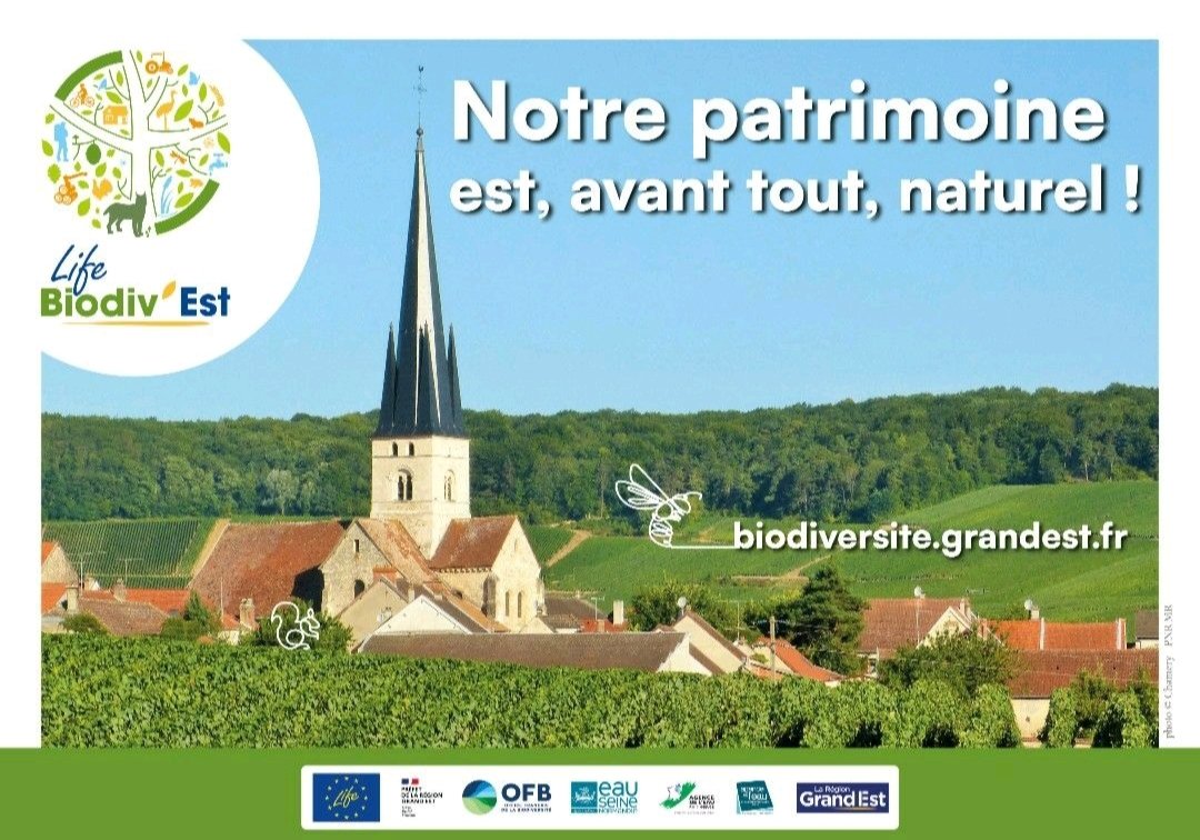 LifeBiodivEst's tweet photo. 10 nouvelles réserves naturelles, planter 1 000 km de haies, former à la biodiversité et aux ressources en eaux 500 élus et 500 sociétés et industriels, mobiliser 8000 élèves... Des actions pour préserver et restaurer la biodiversité en Grand Est. https://t.co/GA9eJctRYu
#JEP2022 https://t.co/mwDvo9dFfp