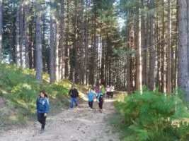 jblasa's tweet photo. π Escursione e Bagno di foliage in Sila π²
π
Lunedì 31 Ottobre 2022
#bagnodifoliage #foliagesila #sila #parcosila #trekkingcalabria #trekkingsila #autunno2022 #rispettalacalabria #eventicalabria #calabria #escursionicalabria #calabriatour #jblasa
https://t.co/IHaxVz2p6E https://t.co/kSJ0xMrsVO