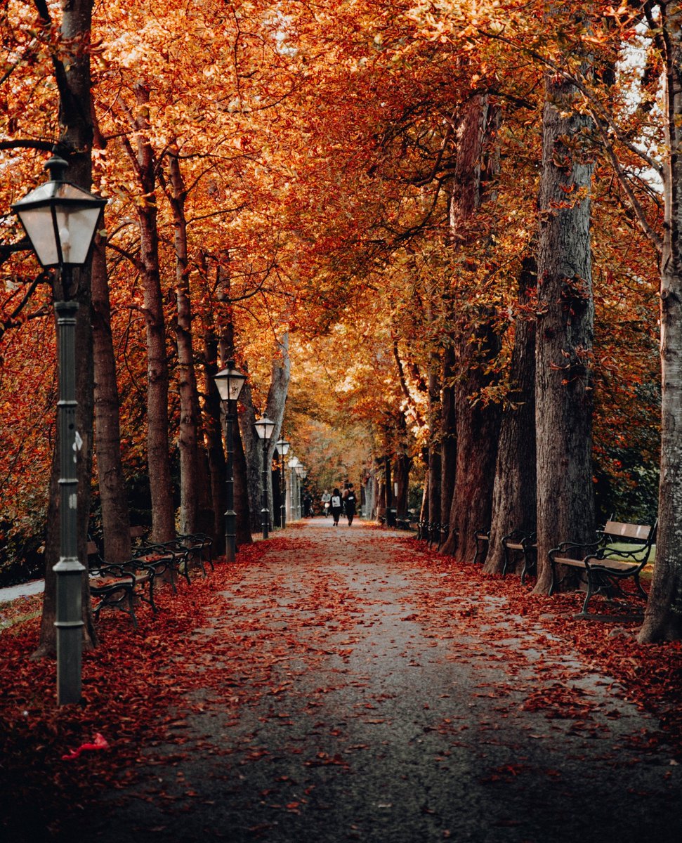 We're SO ready for Autumnal walks. 🍂

#nature #natural #konjacspongecompany