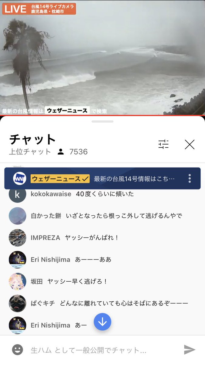 原画 「ヤシの木のヤッシーくん」 原画 「ヤシの木のヤッシーくん」
