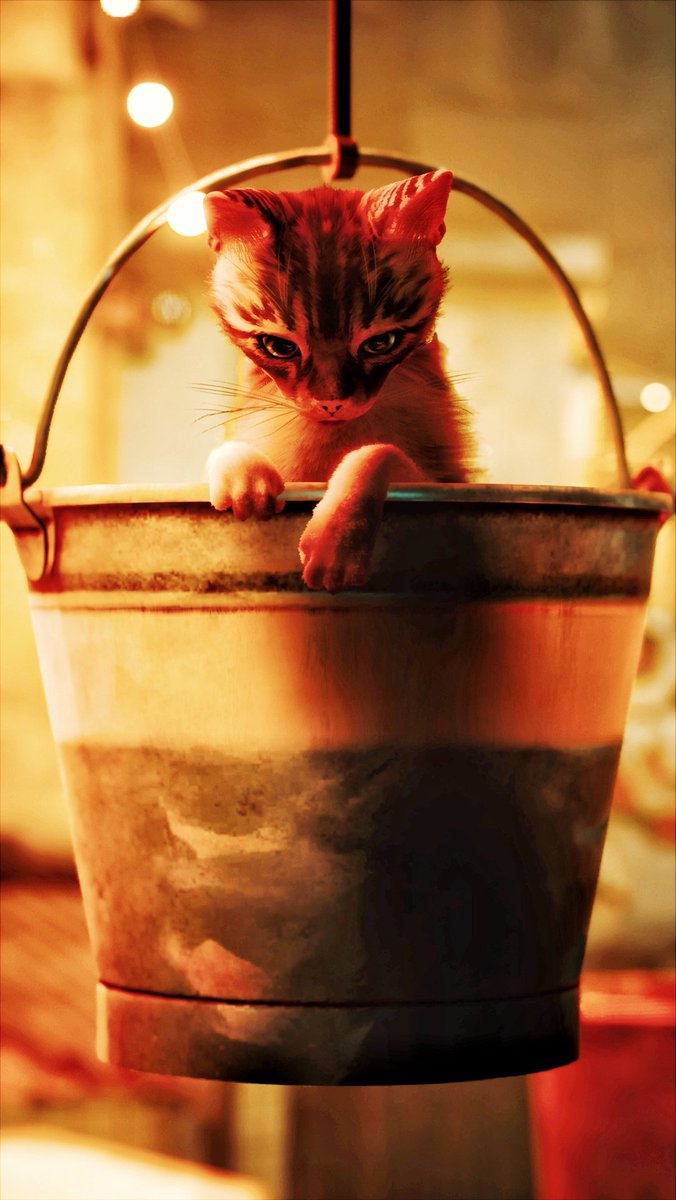 Freeze_the_2nd's tweet photo. Stray 🐱

@HKdevblog 
#VirtualPhotography 
#Cat 
#ZarnGaming https://t.co/KzexYPtcpW