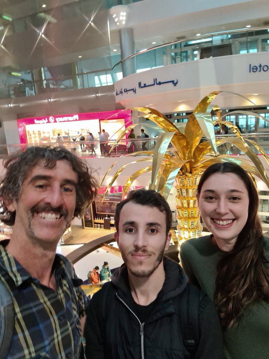 Beatrice Harrison Day tweet media