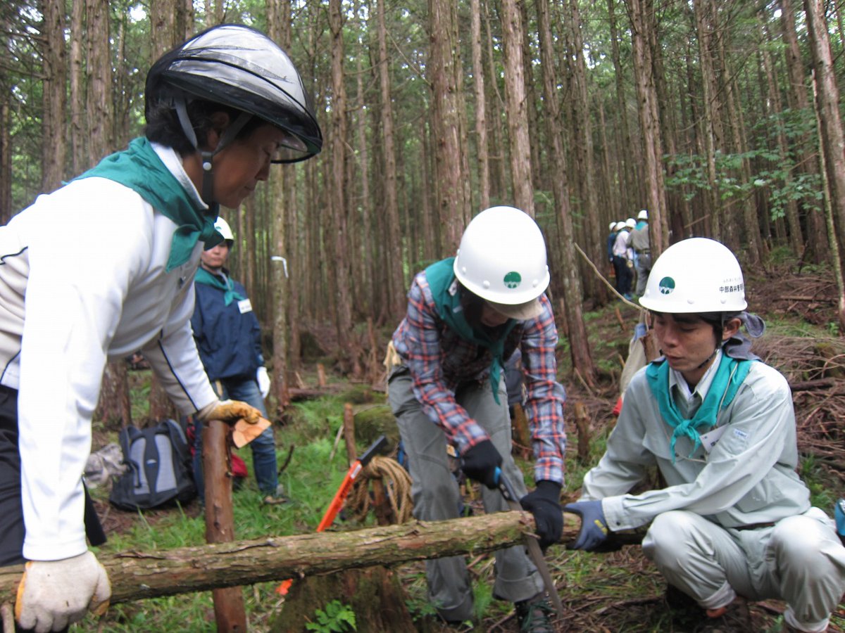 OsakaVolunteer's tweet photo. \ #森林保全 /木曽ヒノキの森の保存・復元活動🌲
ヒノキの間伐や自然散策、森林教室を行います!
日時:10/22(土)-23(日) ※一泊二日
場所:長野県赤沢自然休養林(集合:JR中央本線「木曽福島」)
募集先:地球緑化センター @NPO_GEC
詳細
☞ https://t.co/aDbBrRe2zX
#K182 #自然 https://t.co/qh1bMeBbNU