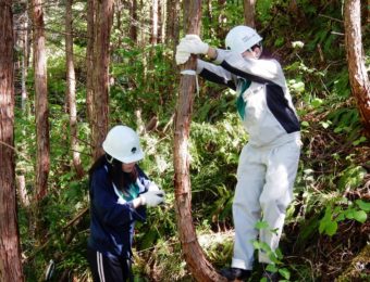 OsakaVolunteer's tweet photo. \ #森林保全 /木曽ヒノキの森の保存・復元活動🌲
ヒノキの間伐や自然散策、森林教室を行います!
日時:10/22(土)-23(日) ※一泊二日
場所:長野県赤沢自然休養林(集合:JR中央本線「木曽福島」)
募集先:地球緑化センター @NPO_GEC
詳細
☞ https://t.co/aDbBrRe2zX
#K182 #自然 https://t.co/qh1bMeBbNU