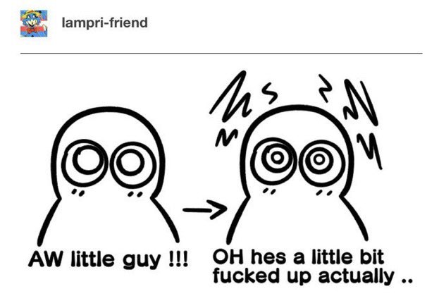 max 🕷️ tweet media