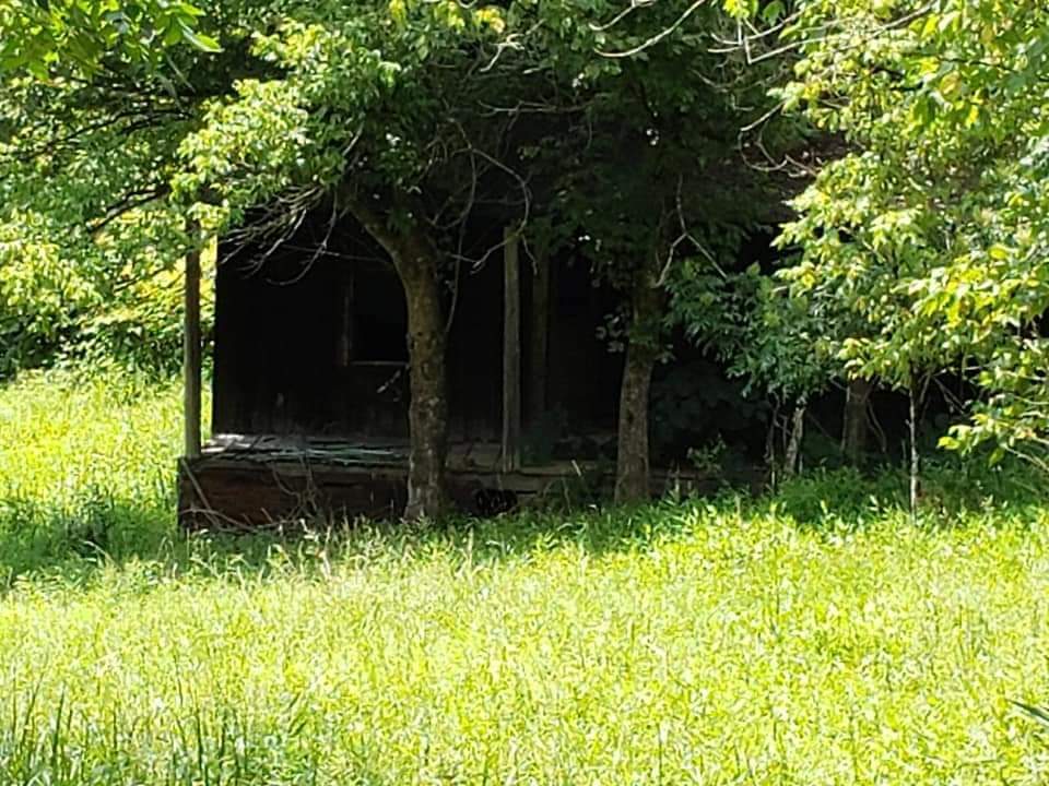 paulajean2020's tweet photo. The best corn on the cob that I ever eat in my life was prepared in this old farm house.
#WVLife #HeyWestVirginia #mountainmomma #CoalMinersDaughter https://t.co/Miw6jBXEPN