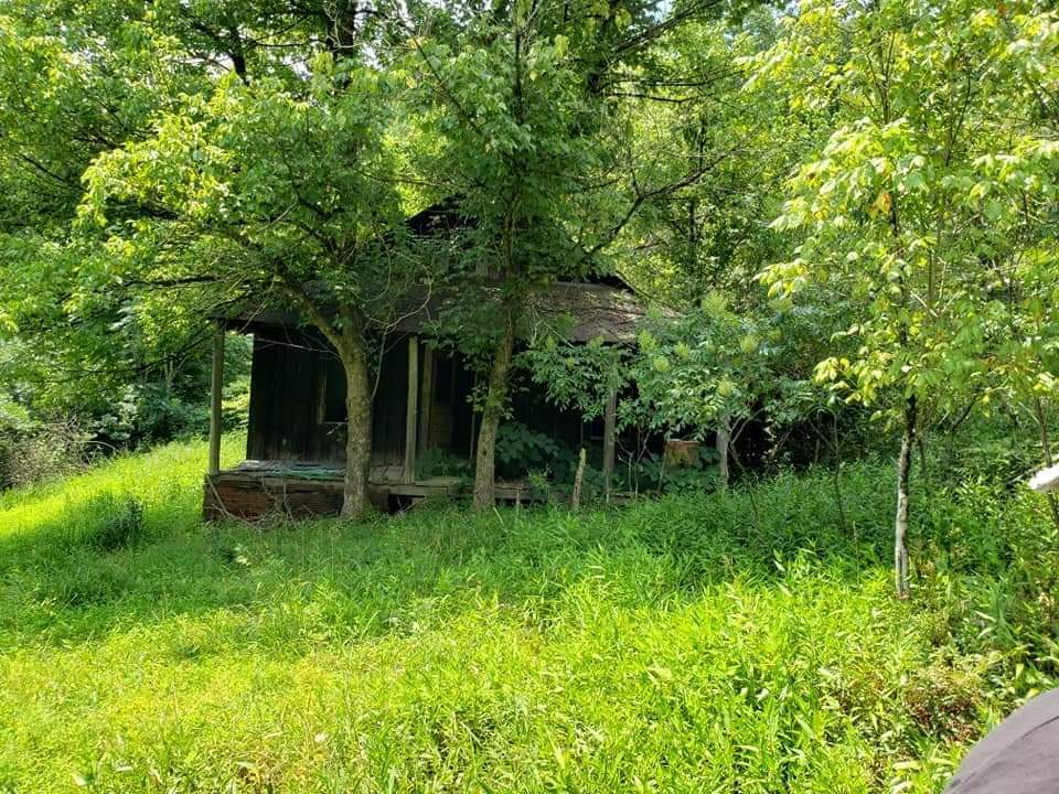 paulajean2020's tweet photo. The best corn on the cob that I ever eat in my life was prepared in this old farm house.
#WVLife #HeyWestVirginia #mountainmomma #CoalMinersDaughter https://t.co/Miw6jBXEPN