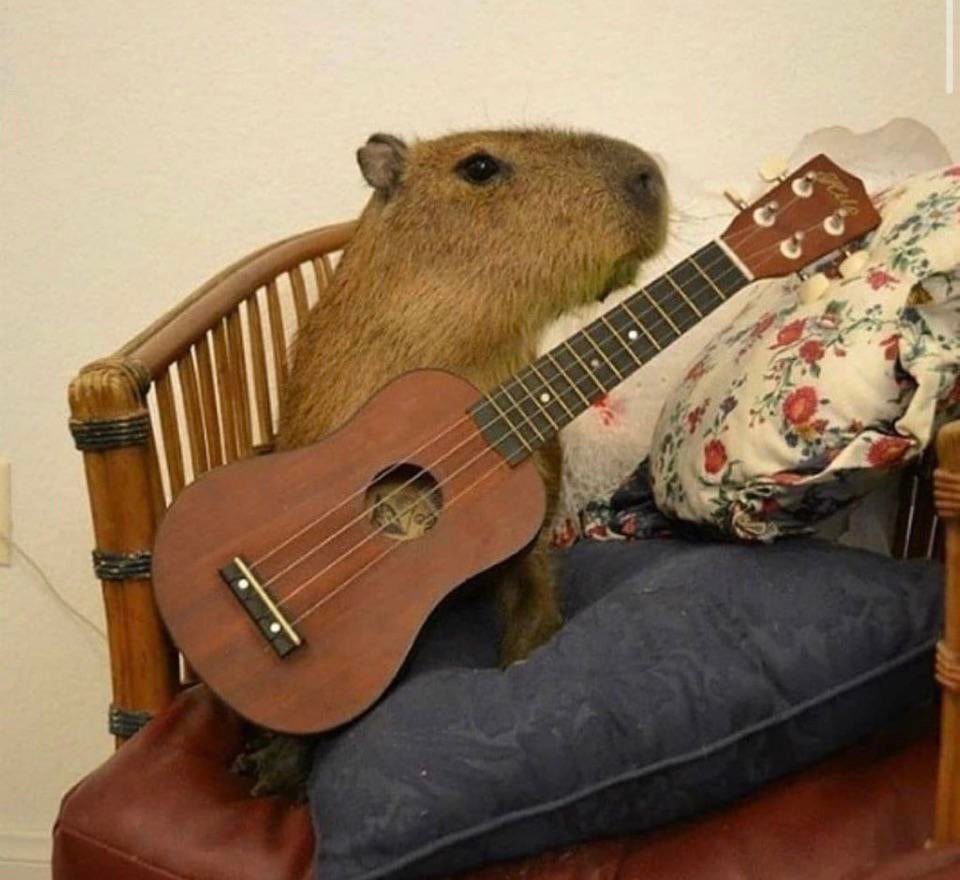 CapybaraCountry's tweet photo. They’re in a band https://t.co/4JcQvTMZ6n