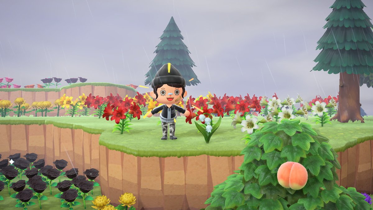 friendorcrow's tweet photo. @curseyousnacks first lily of the valley!!!! #AnimalCrossing #ACNH #NintendoSwitch https://t.co/86rmqqCNL3