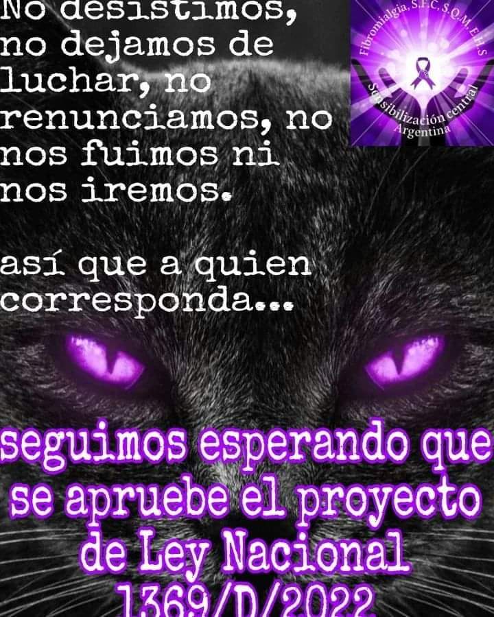 Mamassa6's tweet photo. @mariafato @NidiaorozSoto @sabio_lobo @PiruElbey @DipEstelaH @ceciliamoreauok @DiputadosAR @SenadoArgentina @CFKArgentina @alferdez @MaximoKirchnier @_LaMaximoK @LTAecomay69 @diegopelle79 @roxsfr @CentralZarate @CentralZte https://t.co/rUjEYJKKUl