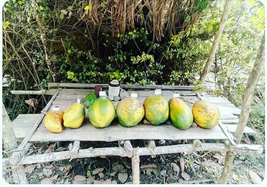 Sabita Chanda (@itsmesabita) on Twitter photo <a href="/AwanishSharan/">Awanish Sharan 🇮🇳</a> These are called "Nghah lou dawr" which means shops without attendants. In the highways, you can find these shops in plenty. You take what you want and keep money in the deposit box. That's #Mizoram for you - trust based society! My fav people and State #birthplace 💝 <a href="/AwanishSharan/">Awanish Sharan 🇮🇳</a> These are called "Nghah lou dawr" which means shops without attendants. In the highways, you can find these shops in plenty. You take what you want and keep money in the deposit box. That's #Mizoram for you - trust based society! My fav people and State #birthplace 💝