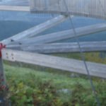 ツイートに含まれる画像