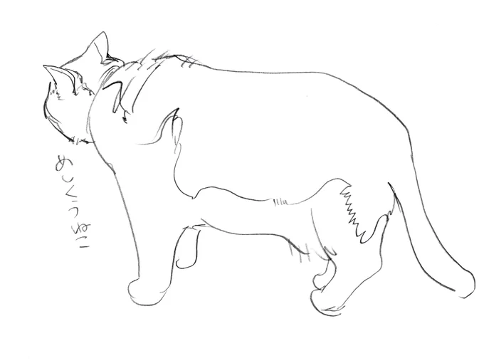 線を整理してもう一回かたちづくり

て感じで線確定してる 