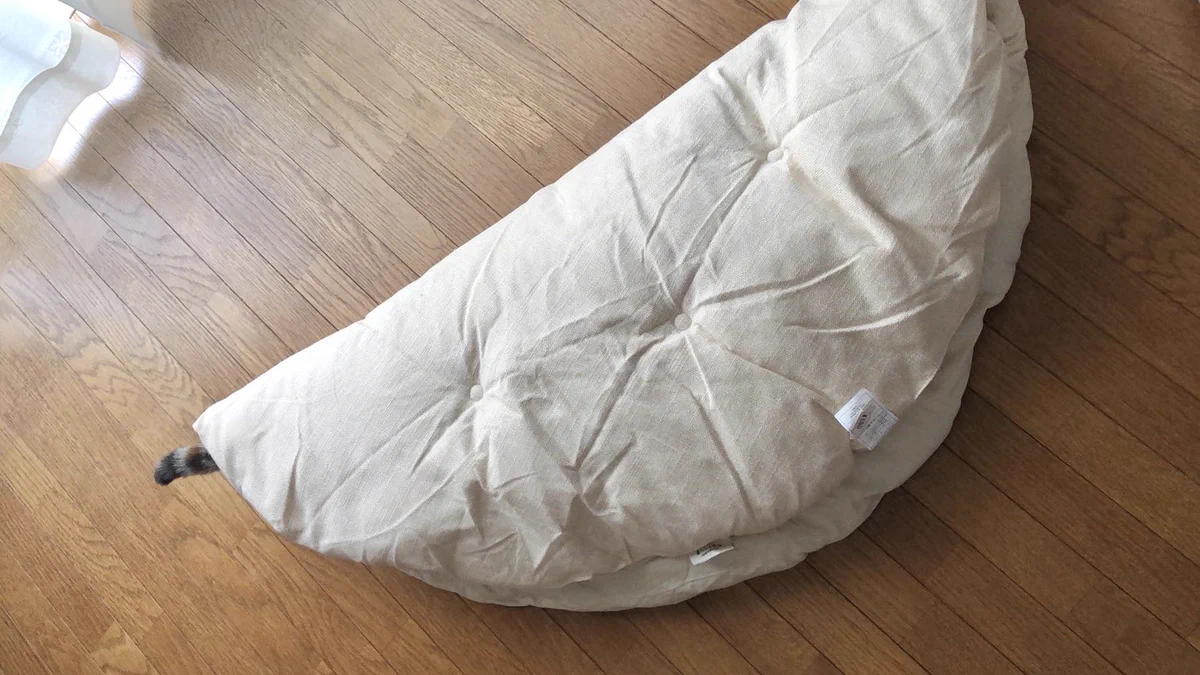 実家の母から送られてきた「餃子」の写真！？可愛すぎるその中身とは！