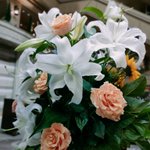 ツイートに含まれる画像