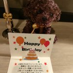 ツイートに含まれる画像