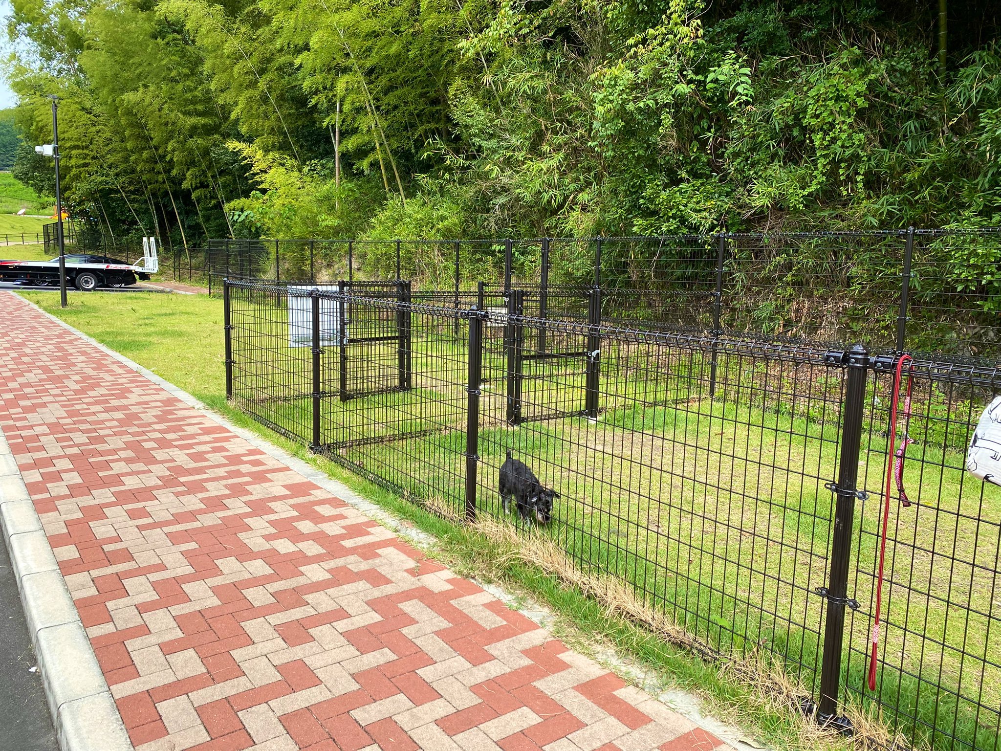 杉村やすらぎ広場 Twitter Search Twitter