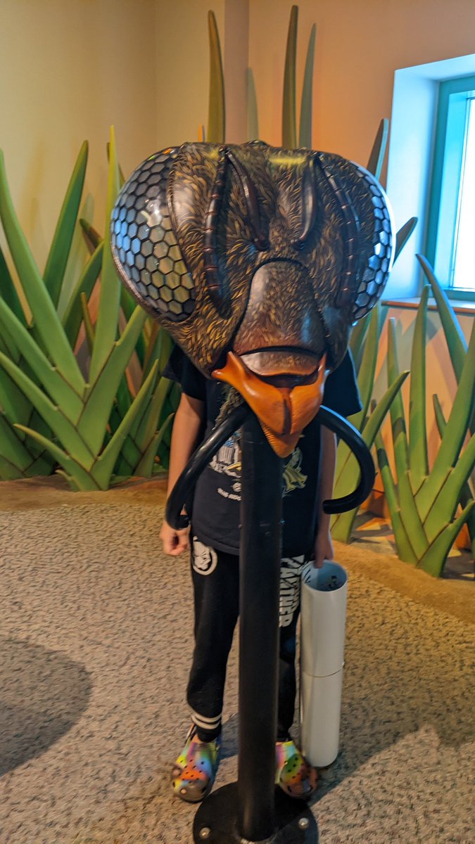 SciencesDiverse's tweet photo. Had a wonderful adventure today with my youngest at #BugFest22 today! https://t.co/qURDT21T6M