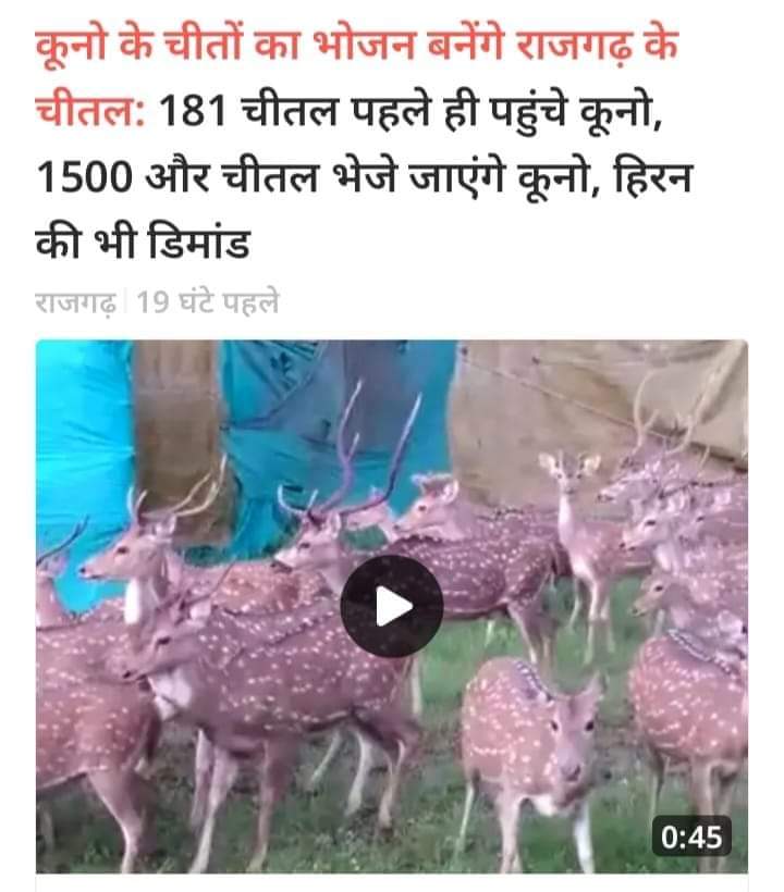 Aditya Pratap Singh (@adityap64767782) on Twitter photo 