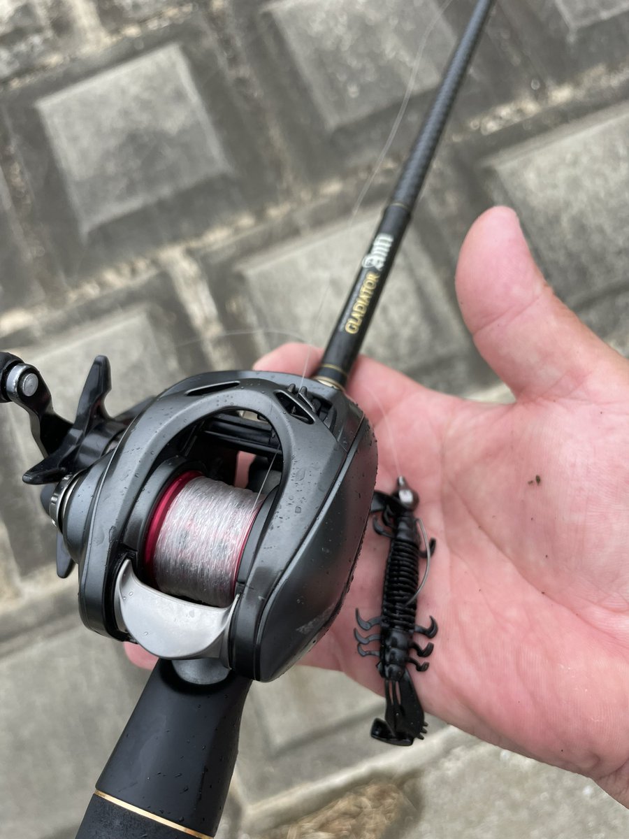 bakayosuke's tweet photo. ちょろっと霞ヶ浦本湖、デコ逃れでMSクロー入れたら釣れた。なんと言うかラッキーフィッシュです。
#霞ヶ浦 #deps #MSCRAW https://t.co/hQ511R2kzZ