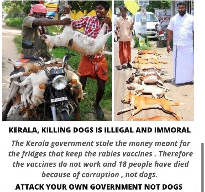 JiteshJarale's tweet photo. Shame on u kerela #Kerela 
#BJP @IndiaToday https://t.co/OUQH8wbTDr