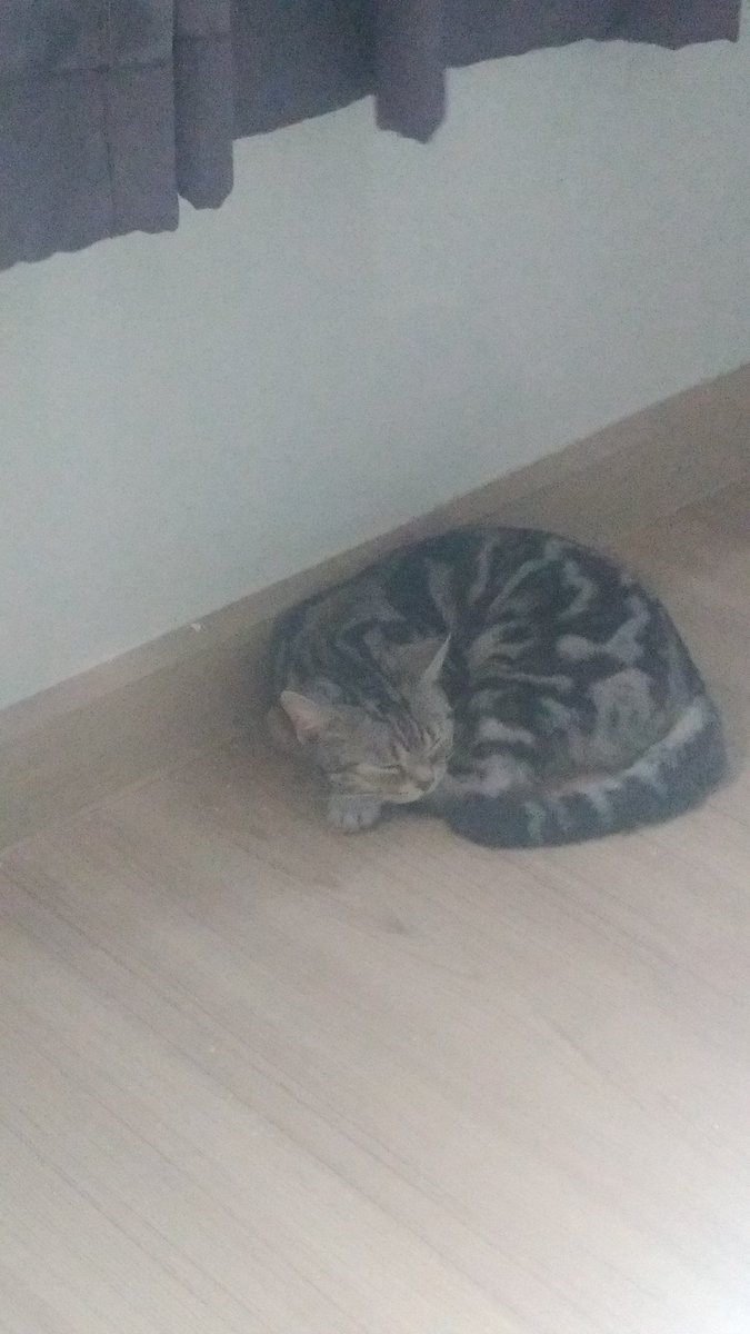 greyyzsx's tweet photo. 😴 https://t.co/ugpglT7yw4