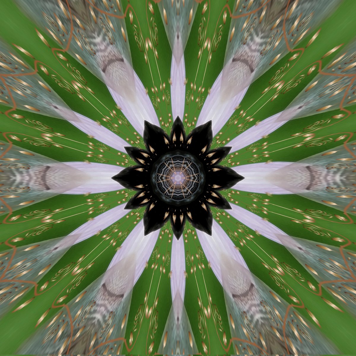 CrystalWriter's tweet photo. @kaleidosaturday My final contribution this week is a #collage that includes the original framed #bee with 3 more #kaleidoscope #mandalas to show what fun I had with both #KVAD #PhotoStudio and the #MirrorLab apps. #KaleidoSaturday brings out the best. https://t.co/d9BiybYfh6