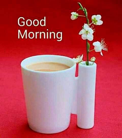 Flyer_for_ever (Ayman Zeibak) (@ayman_zeibak) on Twitter photo 