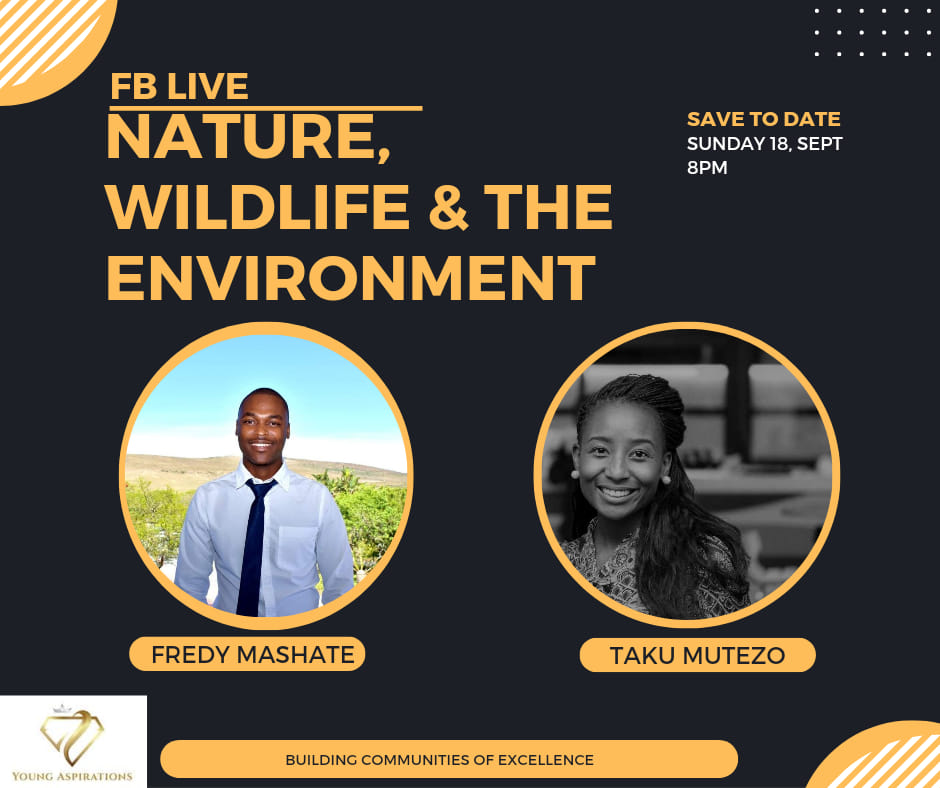 MutezoSamantha's tweet photo. I enjoy conversations almost as much as I love conservation. Join my fellow YALI alumni @fredymashate &amp; I tonight as we unpack nature, wildlife &amp; the environment.🌍🌱💫

https://t.co/2GGQP2MJAf https://t.co/kUSYriVGDJ